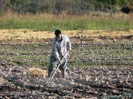 کشاورز رسیدگی‌ قضایی تعزیرات، معارض با قانون و مخدوش کردن اصل تفکیک قواست