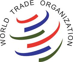 تلاش دولت برای شکستن طلسم عضویت ایران در WTO
